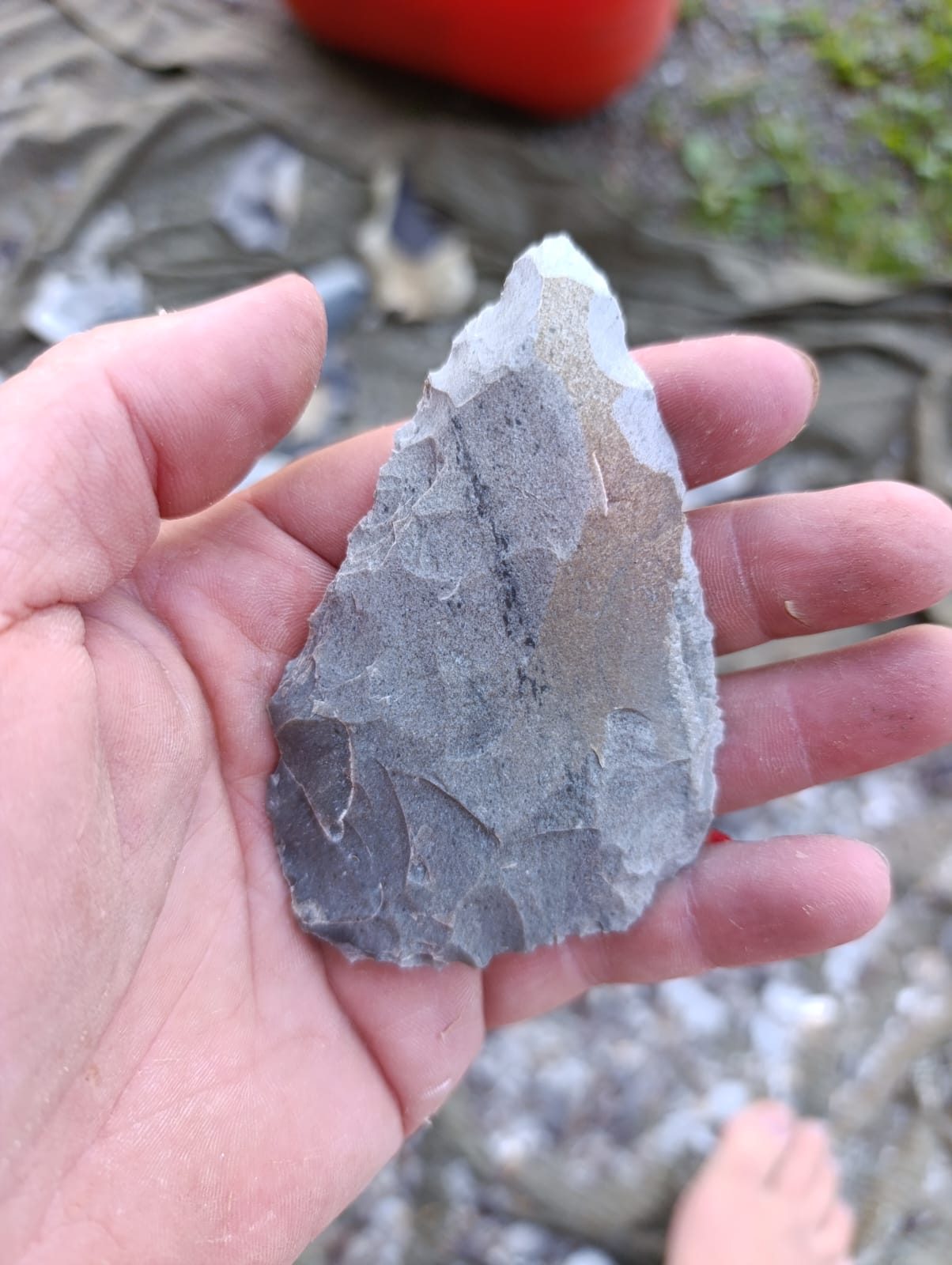Entre fossiles et silex : À la recherche de l’histoire des Baronnies, photo 2