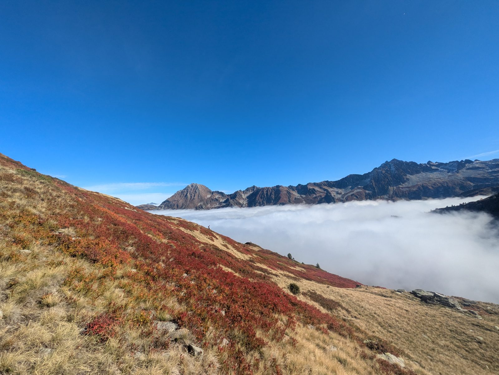 Séjour nature pour étudiants de prépa scientifique : 4 jours pour décrocher, photo 1
