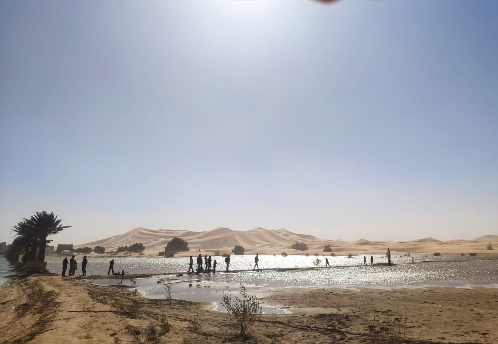 Au-delà de l'Atlas, des premières traces de vie aux dinosaures - Culture et Nature, photo 3