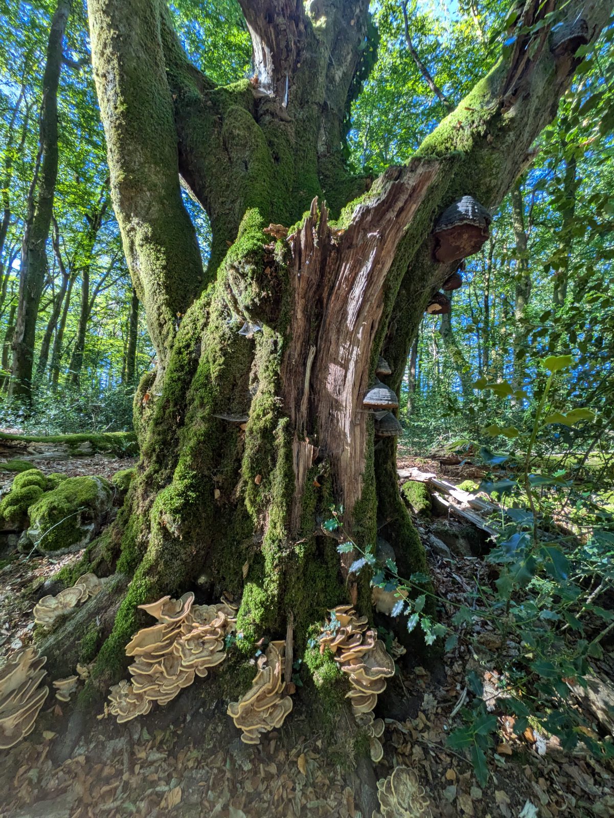 Séjour nature pour étudiants de prépa scientifique : 4 jours pour décrocher, photo 6
